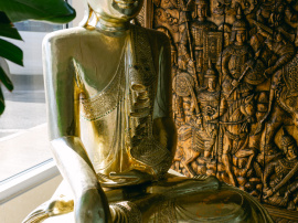 goldenkinnaree-39.jpg